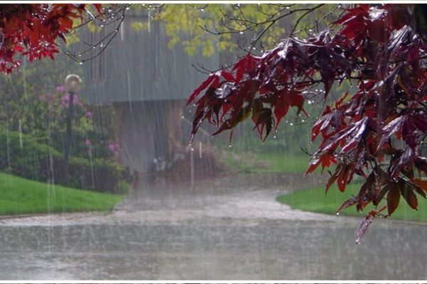 Heavy rains in Telugu states in next two days