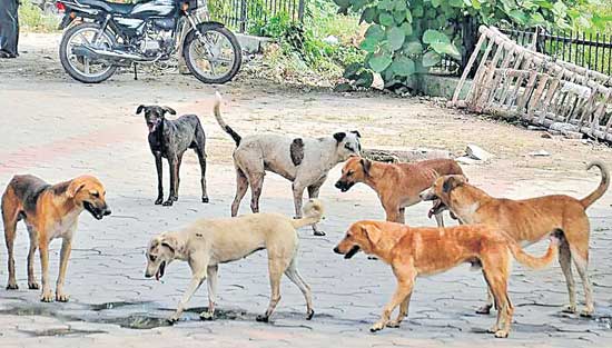 The lifestyle itself has changed..90 crore property has been inherited